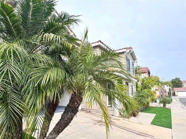 a view of a yard with plants