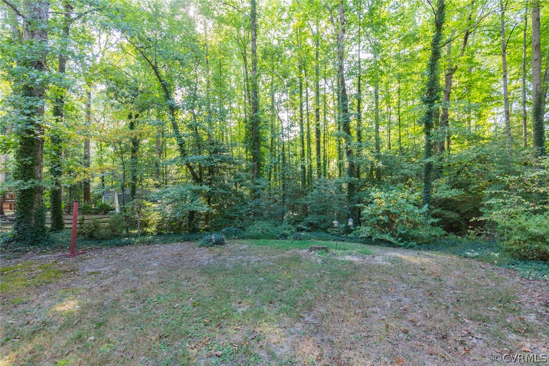 10319 Natural Bridge Road Chesterfield, VA 23236 - Photo 23 of 25 a view of a forest with trees in the background