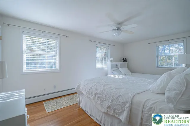 a view of a park with large trees