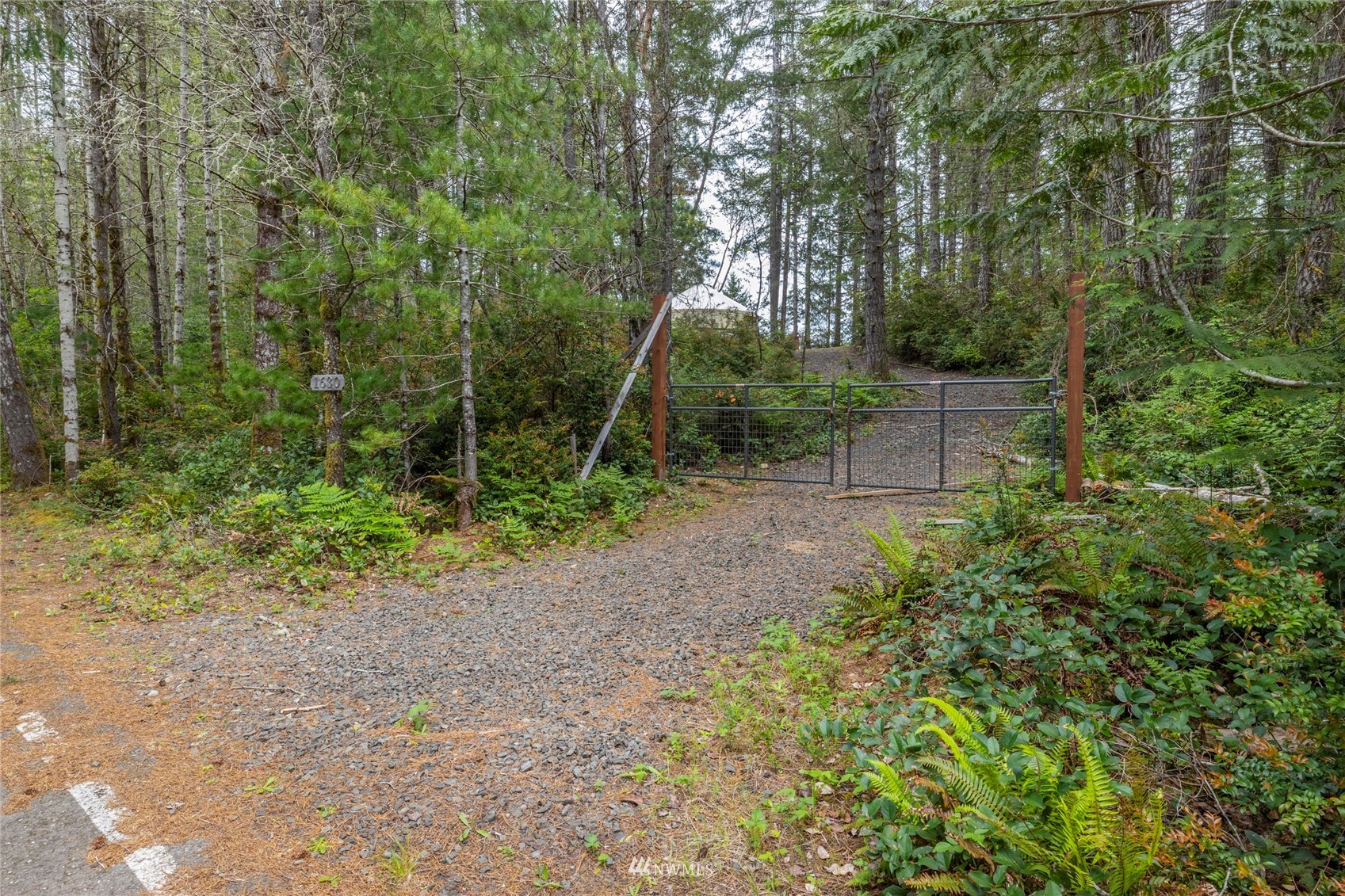 1630 Northeast Hurd Road Belfair, WA 98528 - Photo 17 of 28 a backyard of a house with lots of green space