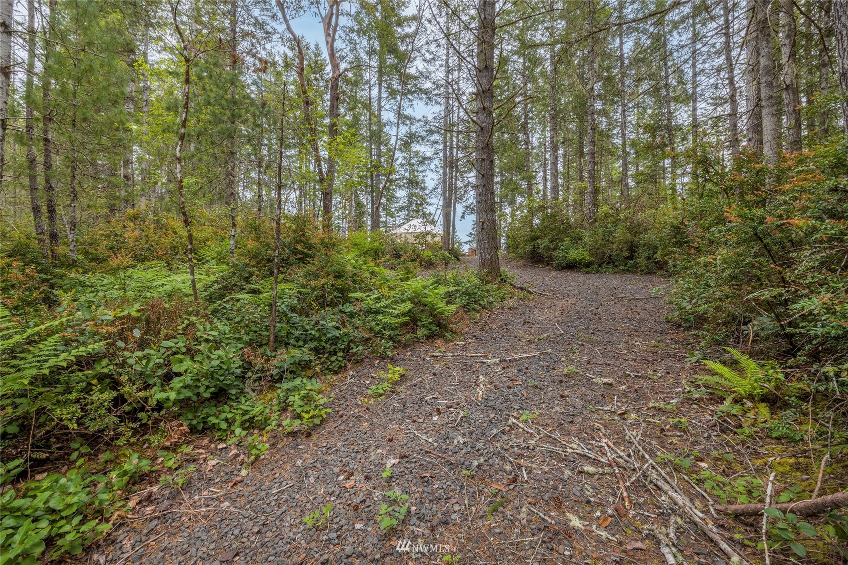 1630 Northeast Hurd Road Belfair, WA 98528 - Photo 18 of 28 a view of a yard with plants and trees