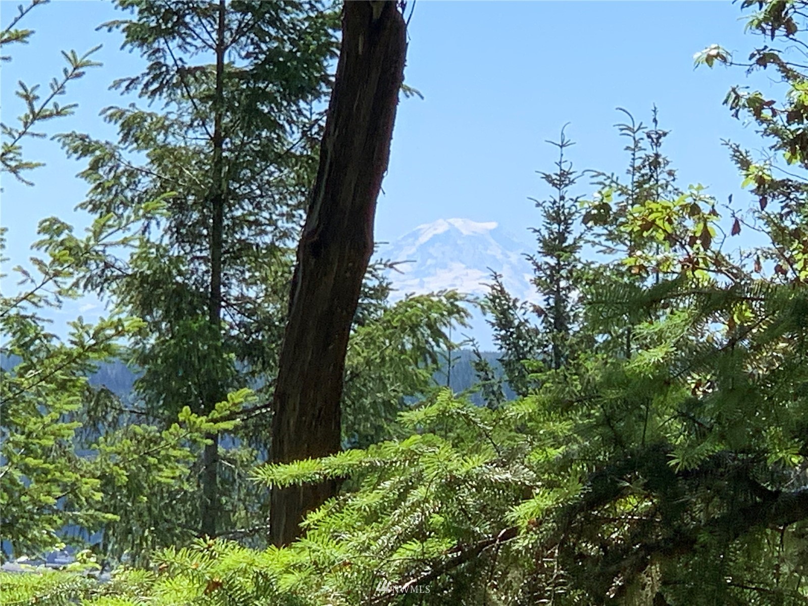 1630 Northeast Hurd Road Belfair, WA 98528 - Photo 2 of 28 a view of a garden