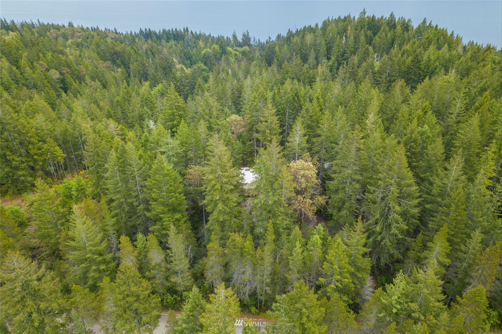1630 Northeast Hurd Road Belfair, WA 98528 - Photo 22 of 28 a view of a lush green forest with a lake