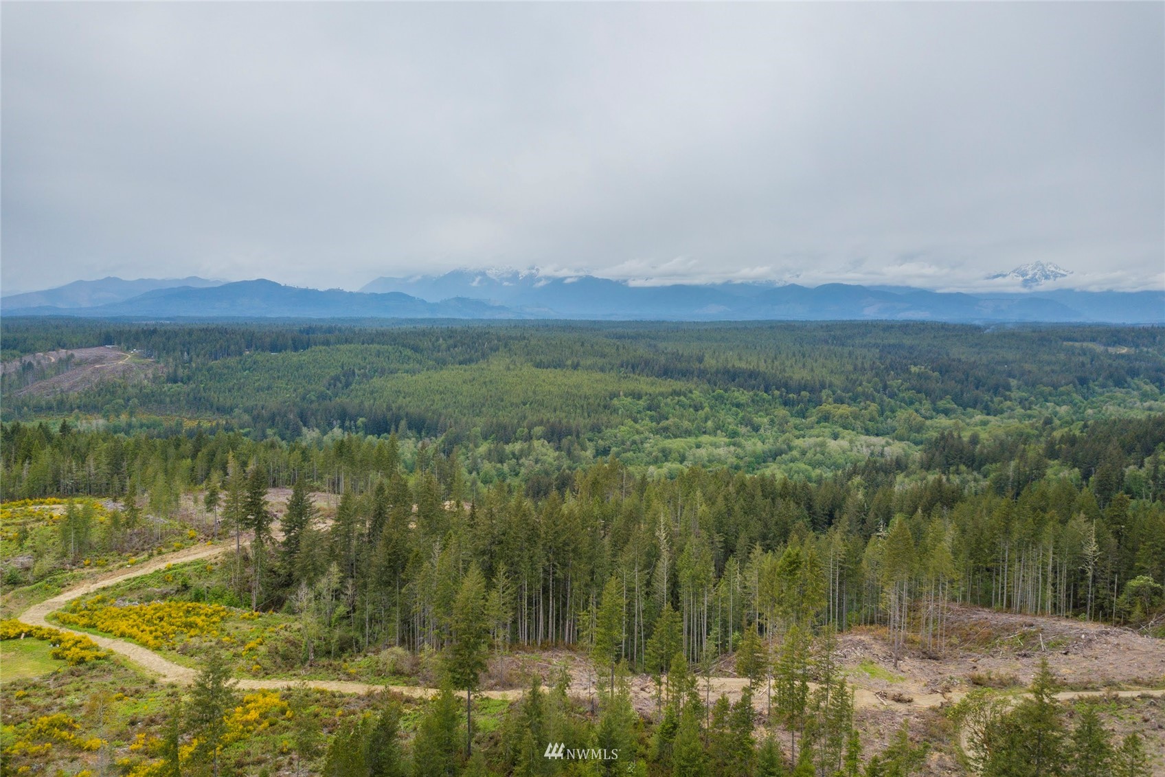1630 Northeast Hurd Road Belfair, WA 98528 - Photo 25 of 28 a view of lake with mountain view