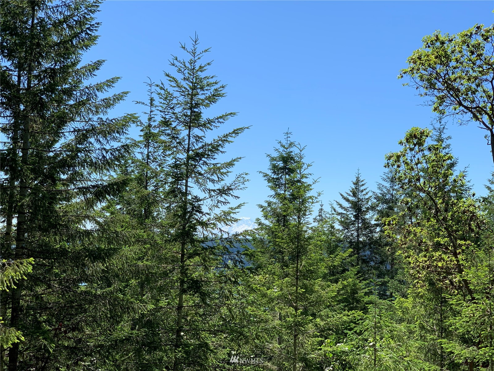 1630 Northeast Hurd Road Belfair, WA 98528 - Photo 27 of 28