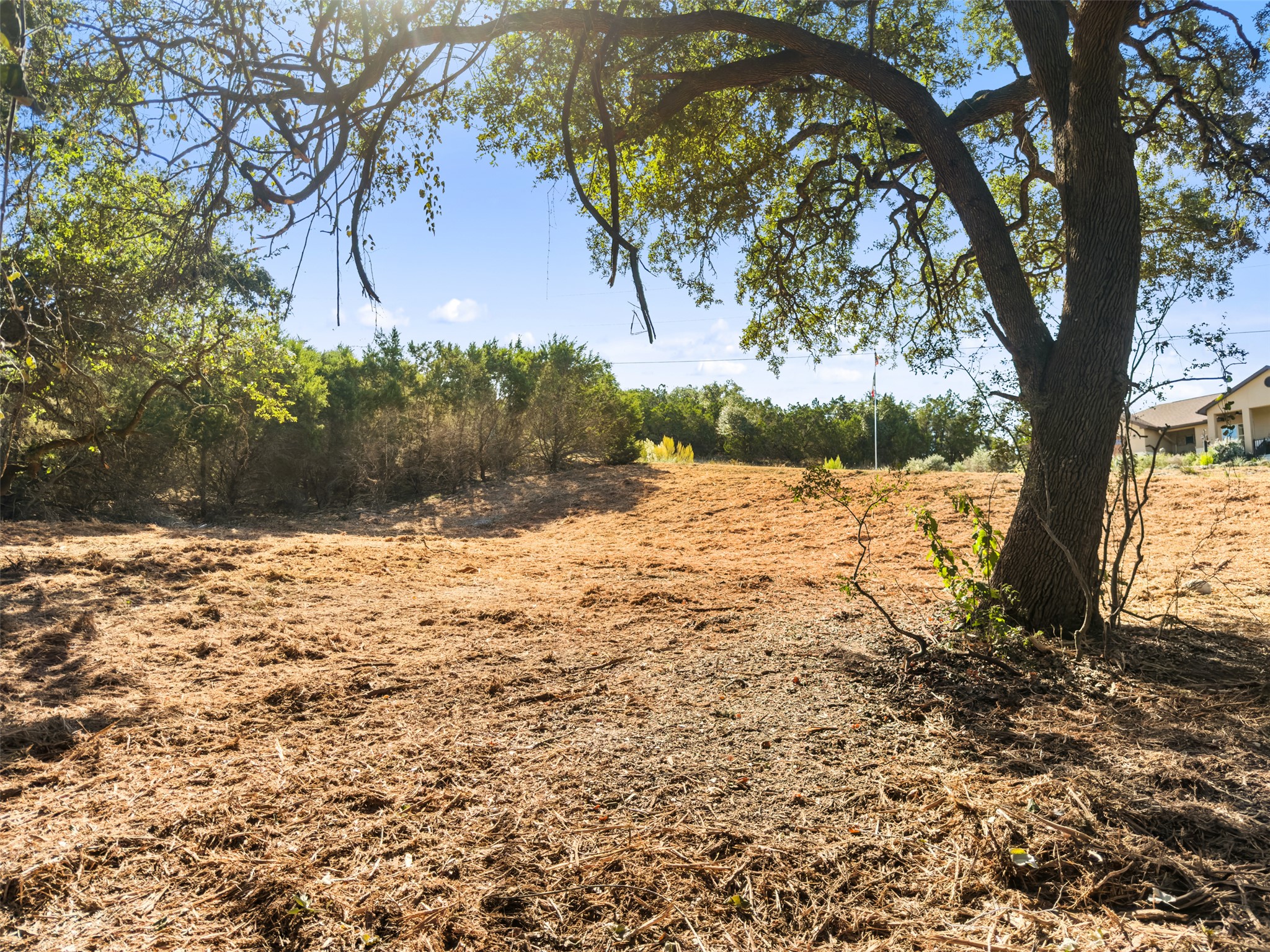 817 Rutherford Fischer, TX 78623 - Photo 8 of 22 Mature trees frame this spacious, build-ready lot, offering a private setting for your future home.