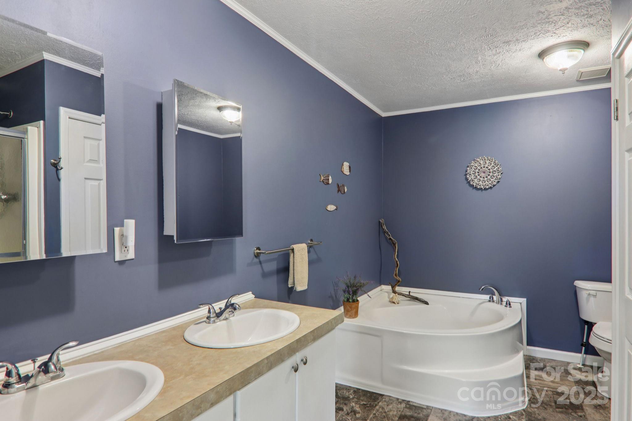 1282 Spicer Cove Road Hendersonville, NC 28792 - Photo 18 of 42 a bathroom with a granite countertop sink and a mirror