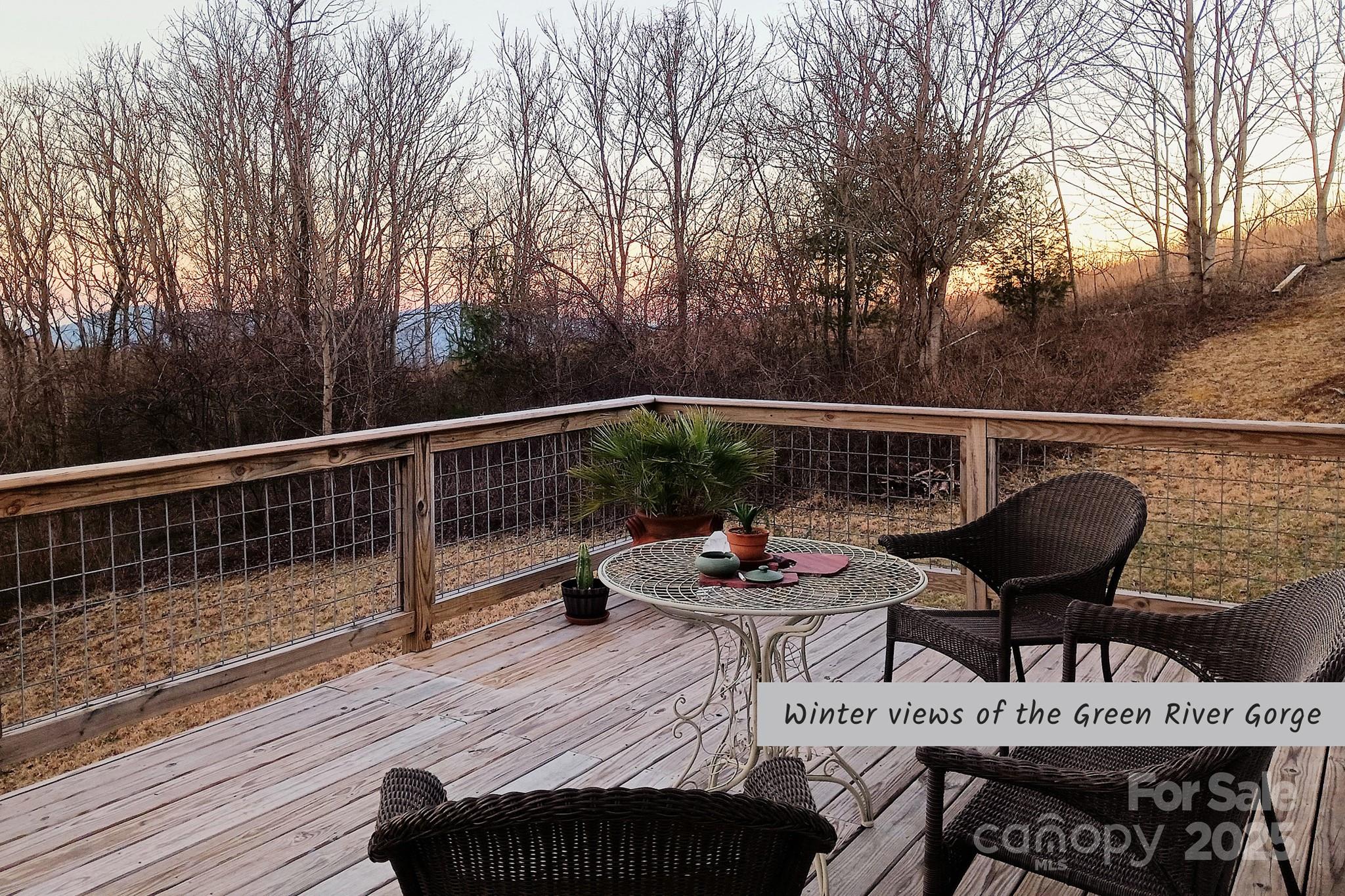 1282 Spicer Cove Road Hendersonville, NC 28792 - Photo 26 of 42 a view of balcony and wooden floor