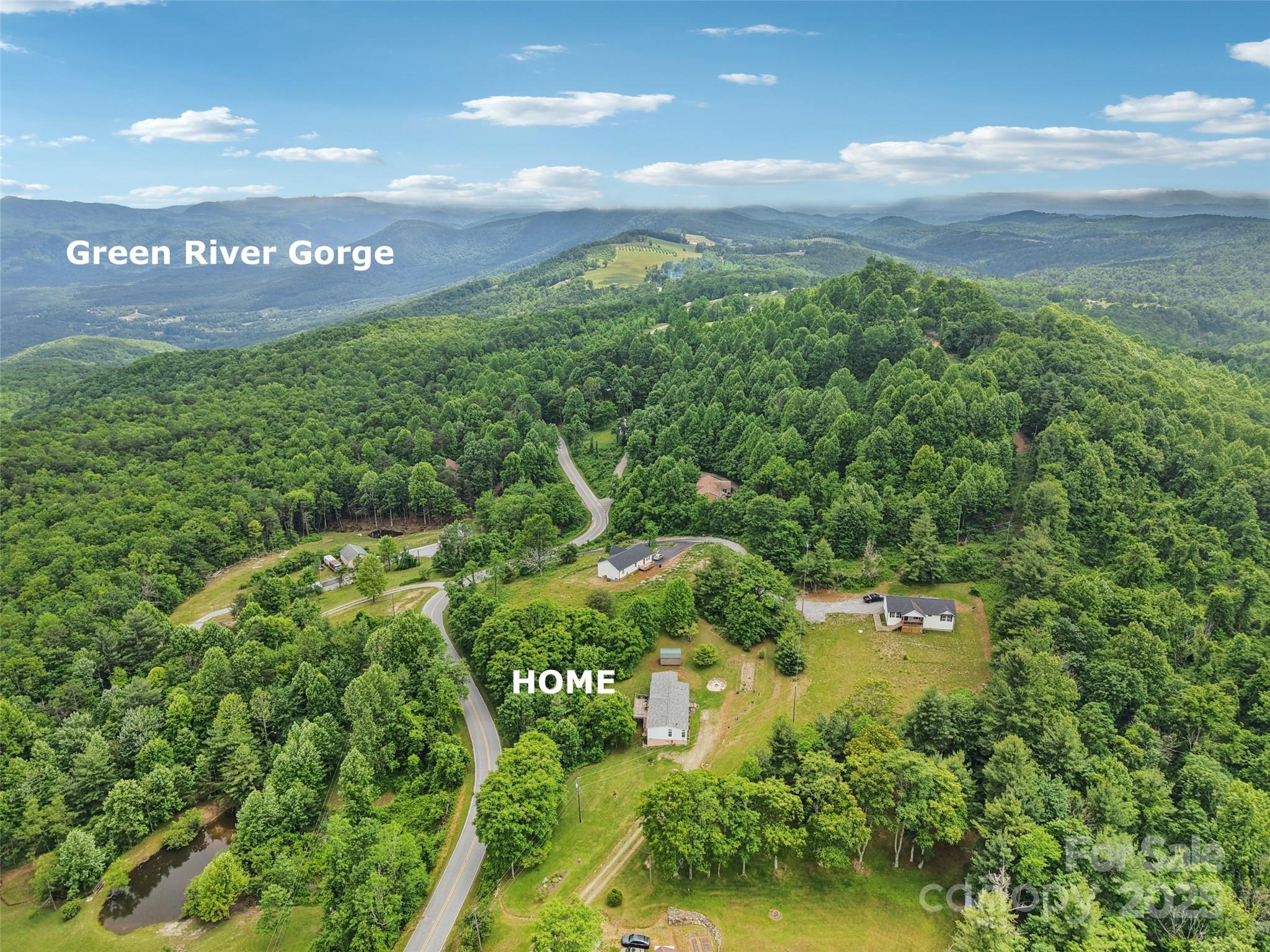 1282 Spicer Cove Road Hendersonville, NC 28792 - Photo 3 of 42 a view of a yard