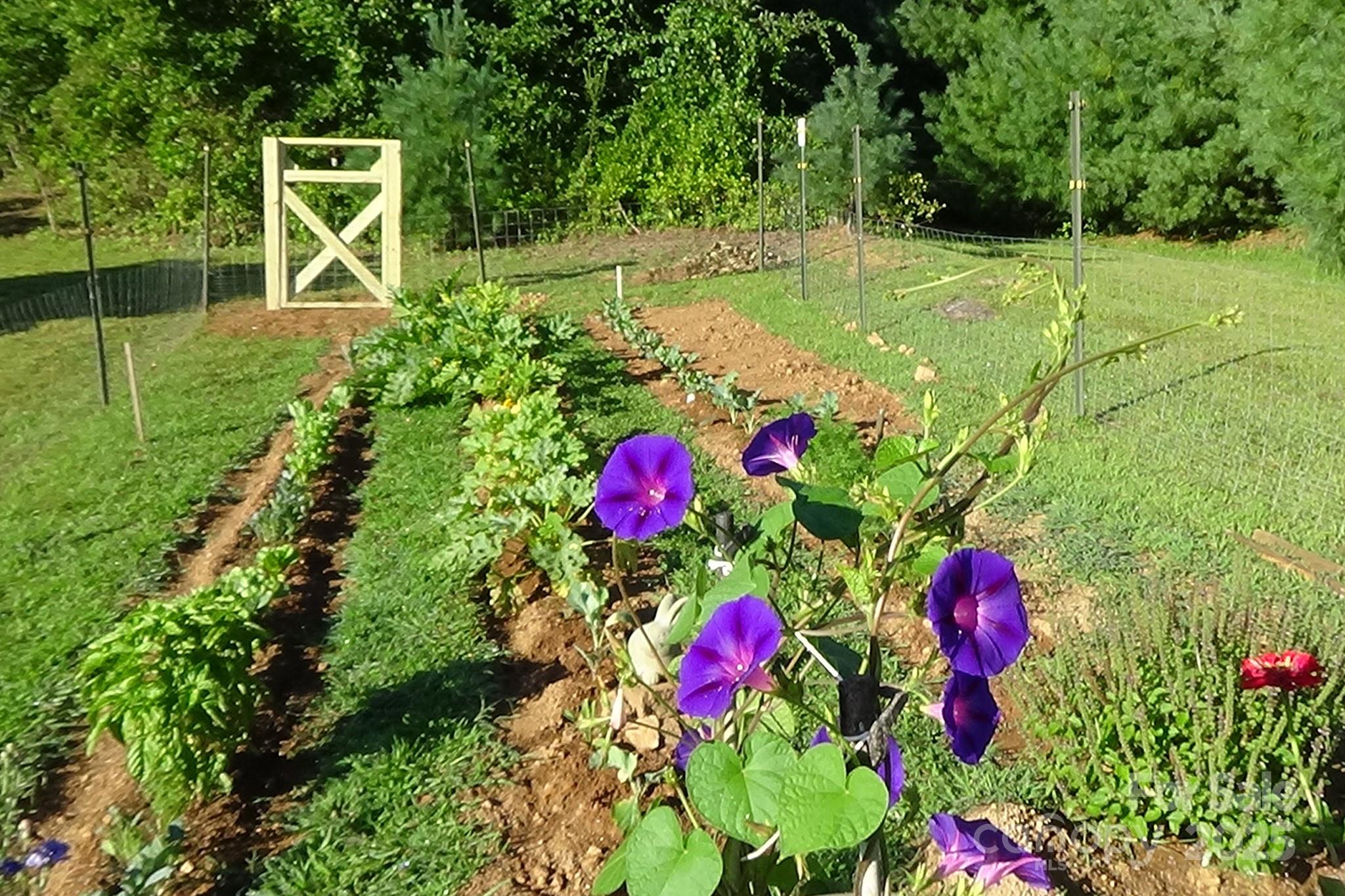 1282 Spicer Cove Road Hendersonville, NC 28792 - Photo 33 of 42 a view of a house with a yard and potted plants