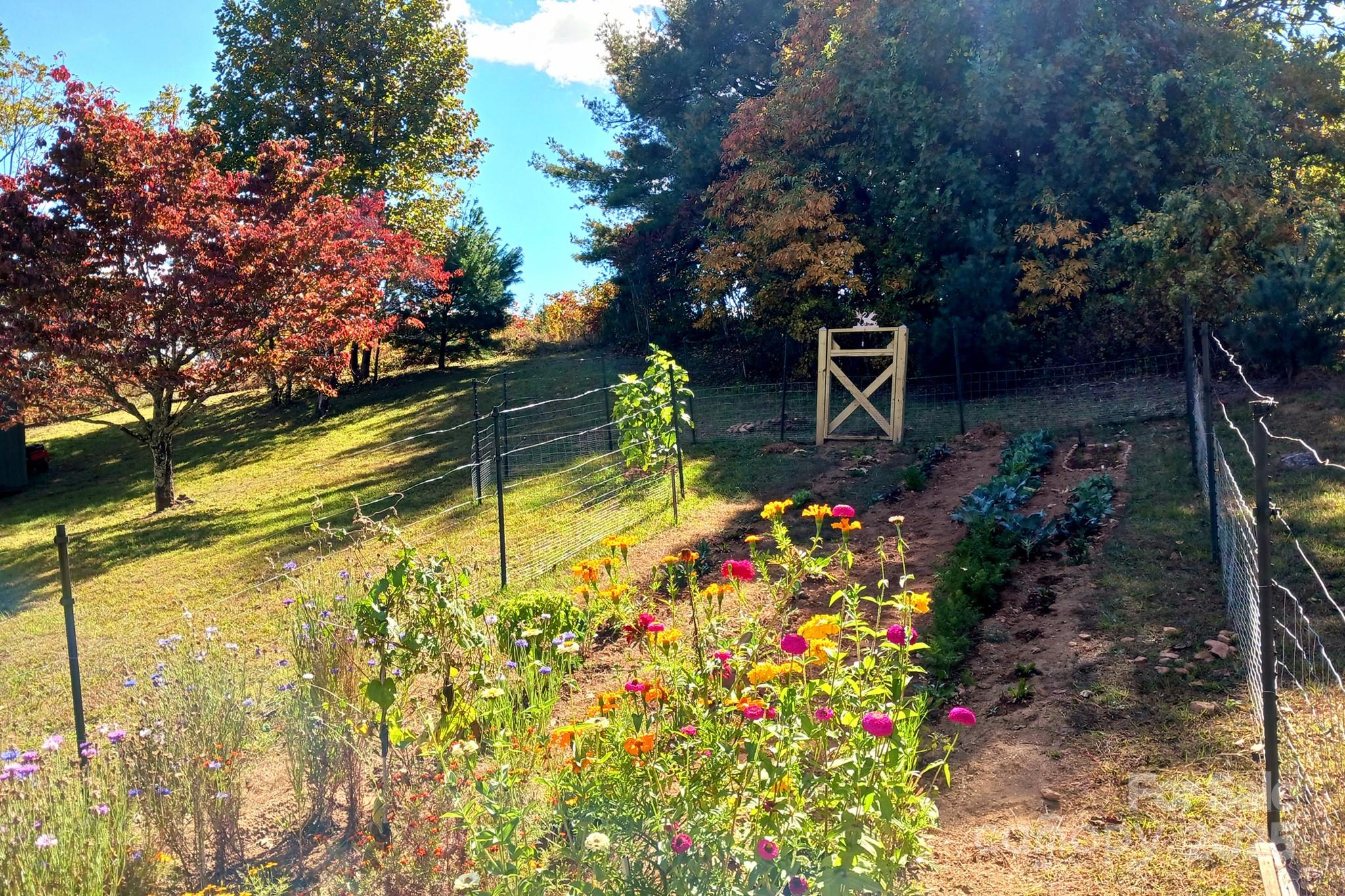 1282 Spicer Cove Road Hendersonville, NC 28792 - Photo 34 of 42 a view of a garden with flowers