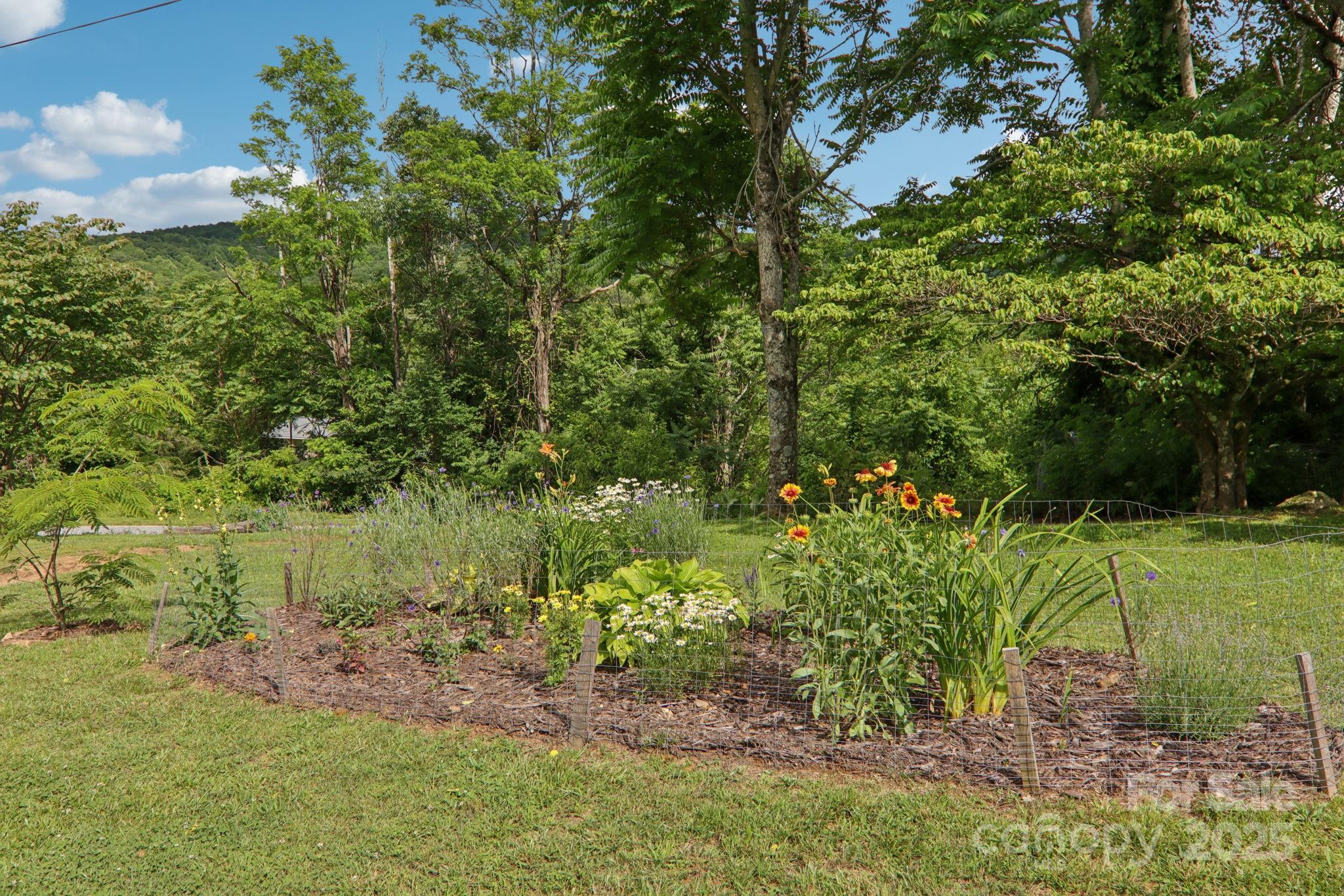 1282 Spicer Cove Road Hendersonville, NC 28792 - Photo 36 of 42 a view of a garden with a tree