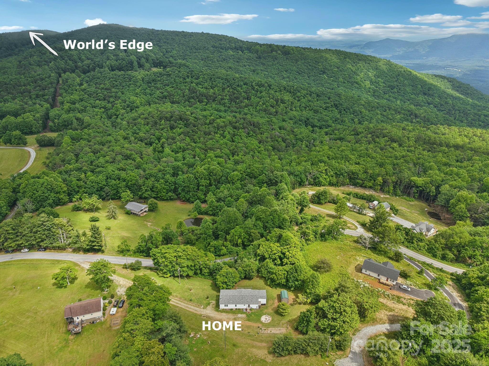 1282 Spicer Cove Road Hendersonville, NC 28792 - Photo 38 of 42 a view of a lush green space