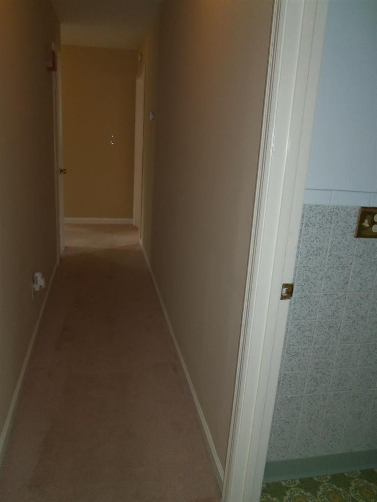 310 Delaney Ferry Road Versailles, KY 40383 - Photo 30 of 40 Photo 31