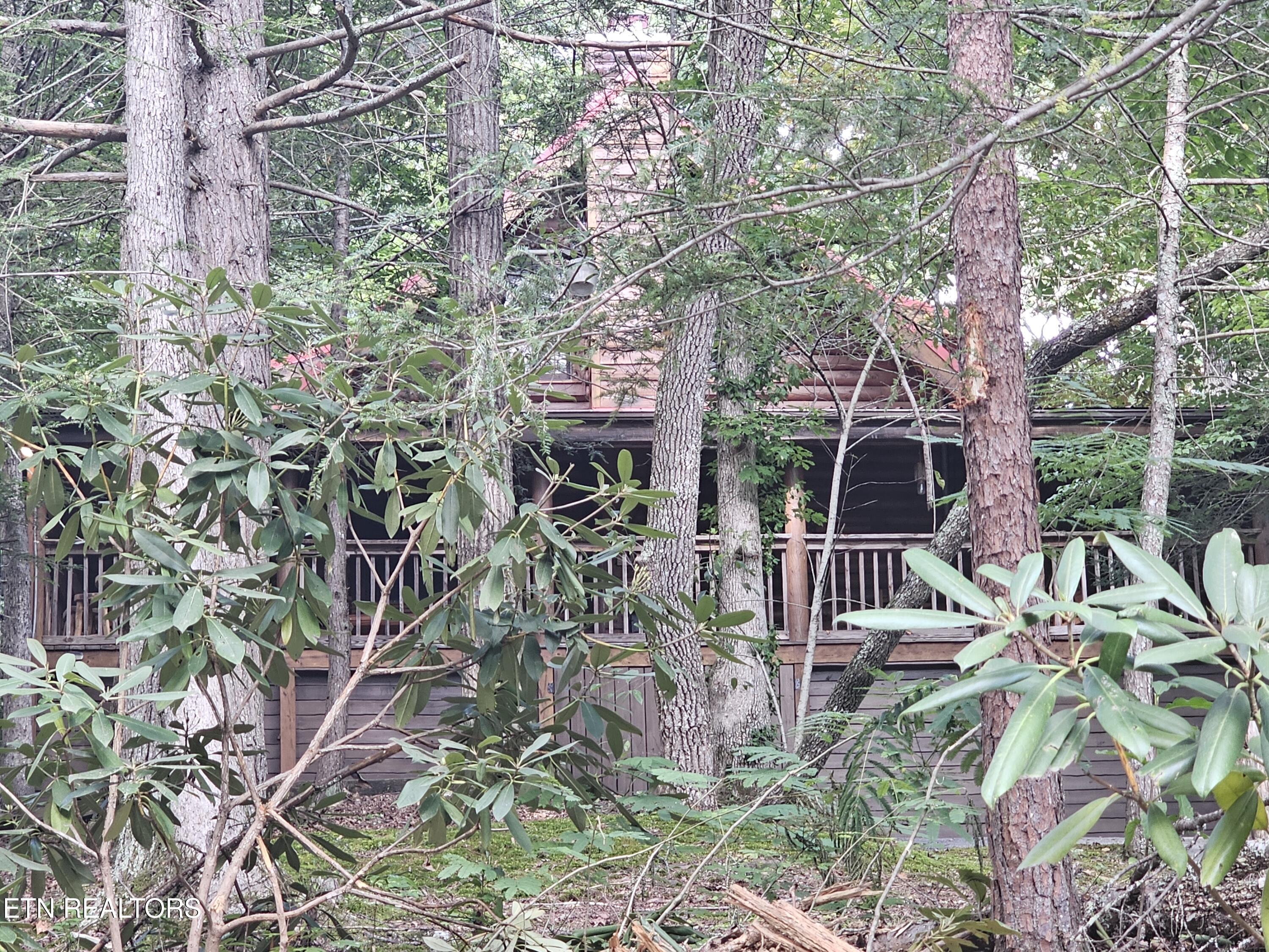 244 Palmer Road Gatlinburg, TN 37738 - Photo 48 of 52 20250810_173627