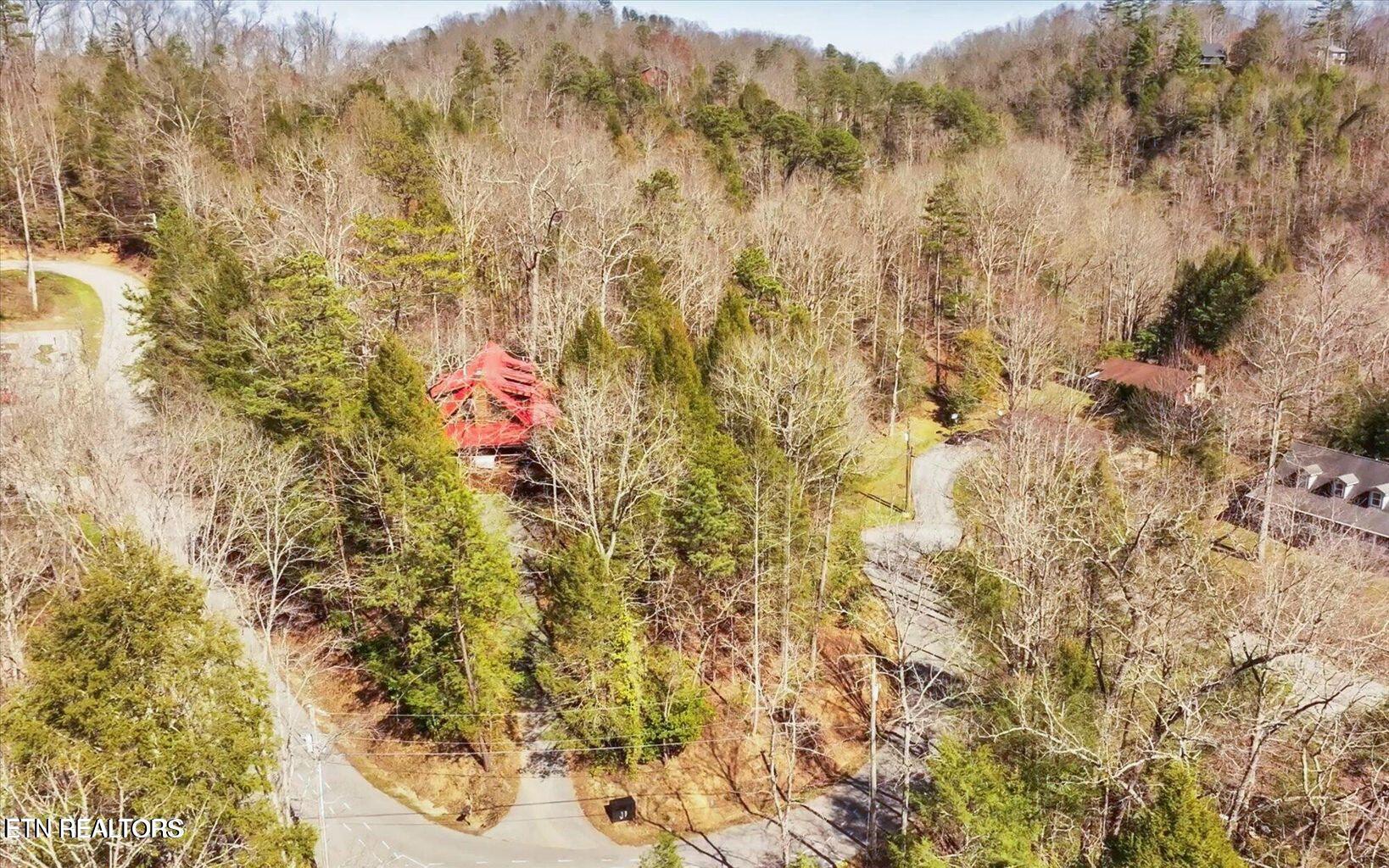 244 Palmer Road Gatlinburg, TN 37738 - Photo 51 of 52 Palmer Rd_Drone 3