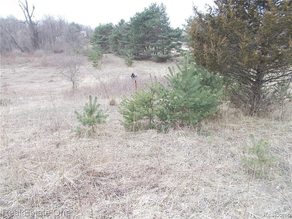 0 North Lake George Road Oakland, MI 48363 - Photo 22 of 55