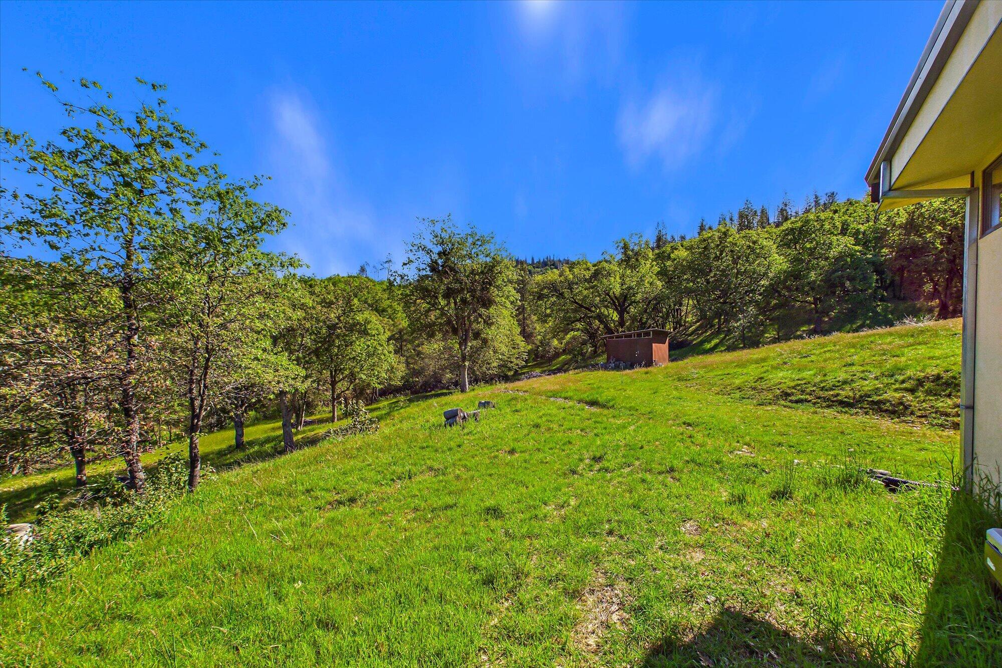 6691 Reading Creek Road Douglas City, CA 96024 - Photo 21 of 101 021-6691 Reading Creek-320