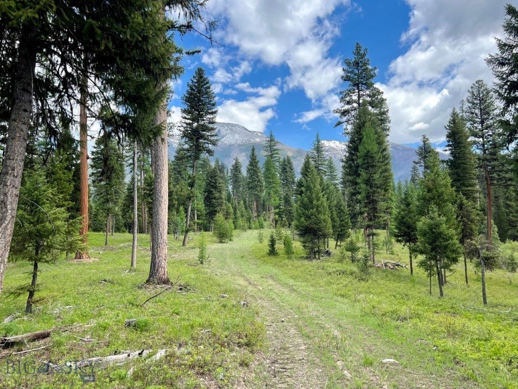Nhn Condon Loop Road North Bigfork, MT 59911 - Photo 1 of 1 Gallery Image 1