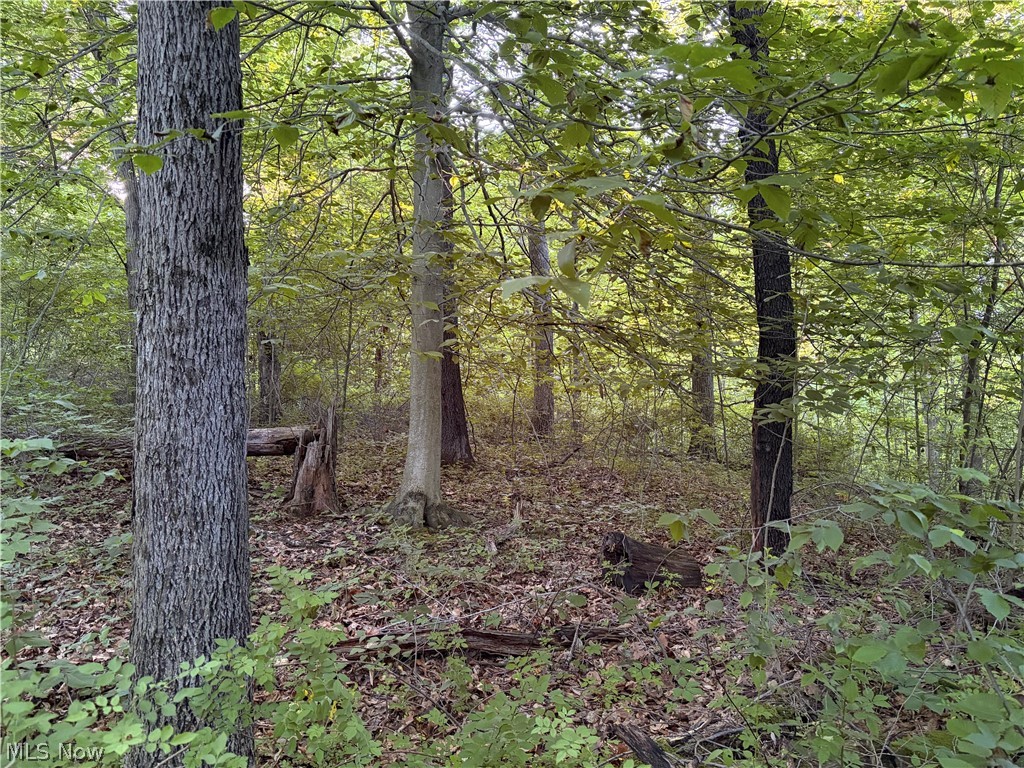 Sykes Ridge Road Clarington, OH 43915 - Photo 37 of 42