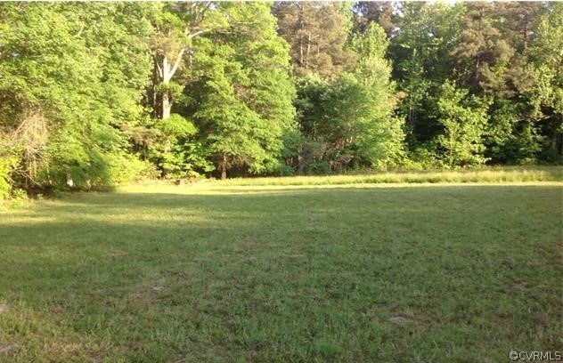1484 Cox Road Blackstone, VA 23824 - Photo 8 of 21 Gallery Image 8