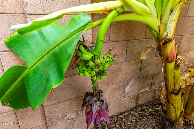 $1,275,000 | 4868 South Hemet Street, Gilbert, AZ 85298