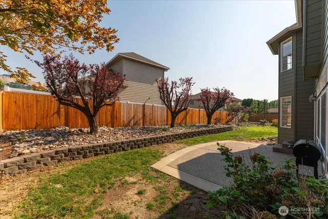 a view of a backyard with trees