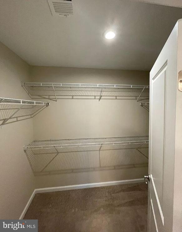 43855 Stubble Cor Square Ashburn, VA 20147 - Photo 15 of 38 a close view of closet