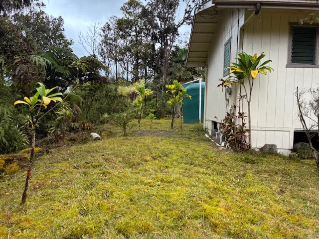 a view of plant in front of a house