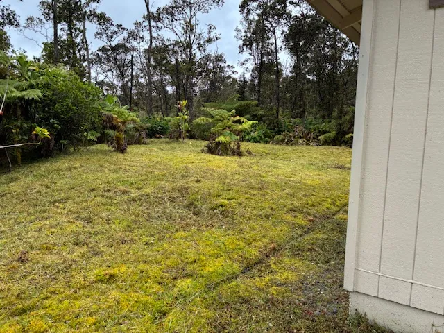 a view of a yard with an outdoor space