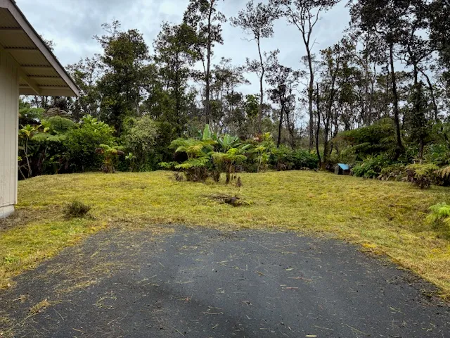 a view of swimming pool with lawn chairs and large trees