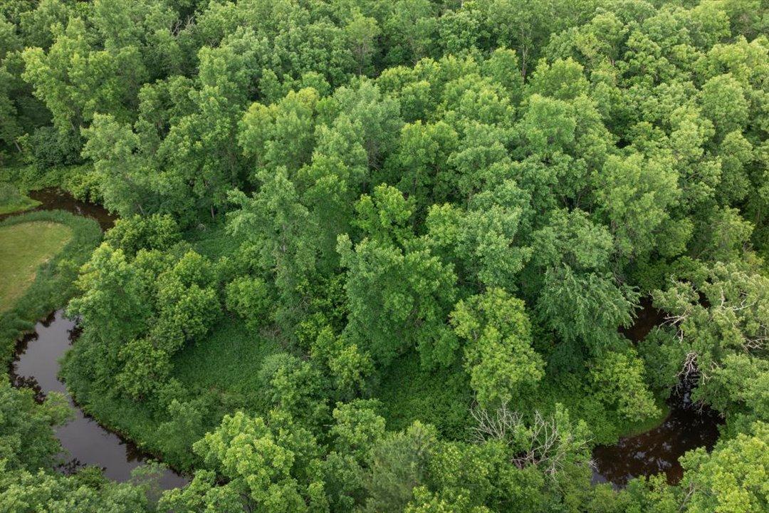 Tbd Mitchell Road Nisswa, MN 56468 - Photo 12 of 22