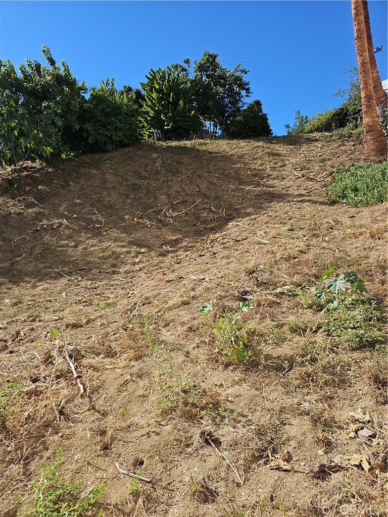 2286 Silver Ridge Avenue Los Angeles, CA 90039 - Photo 9 of 14