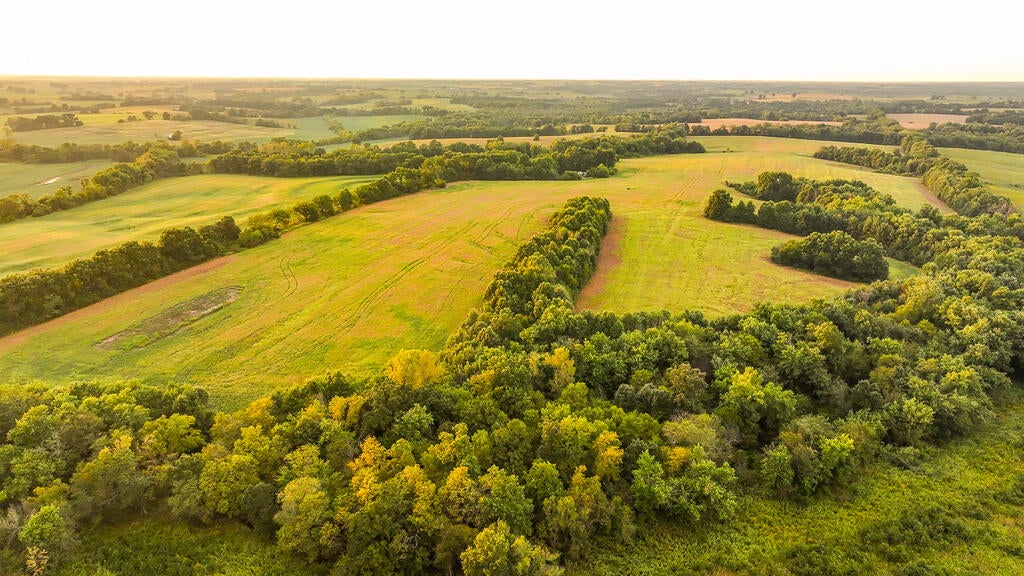 0 Autumn Road Browning, MO 64630 - Photo 6 of 41 Gallery Image 6