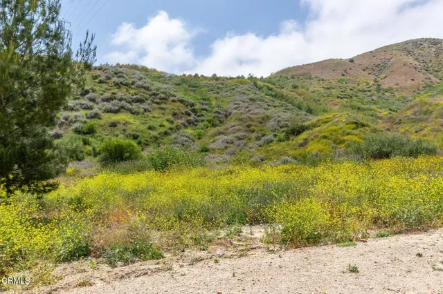 $1,450,000 | 3629 Center Street Street, Fillmore, CA 93015