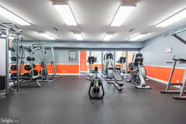 a view of outdoor space with blue trees