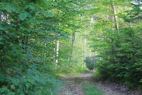 2 Hanover Me 04237 Hanover, ME 04237 - Photo 3 of 30 Photo