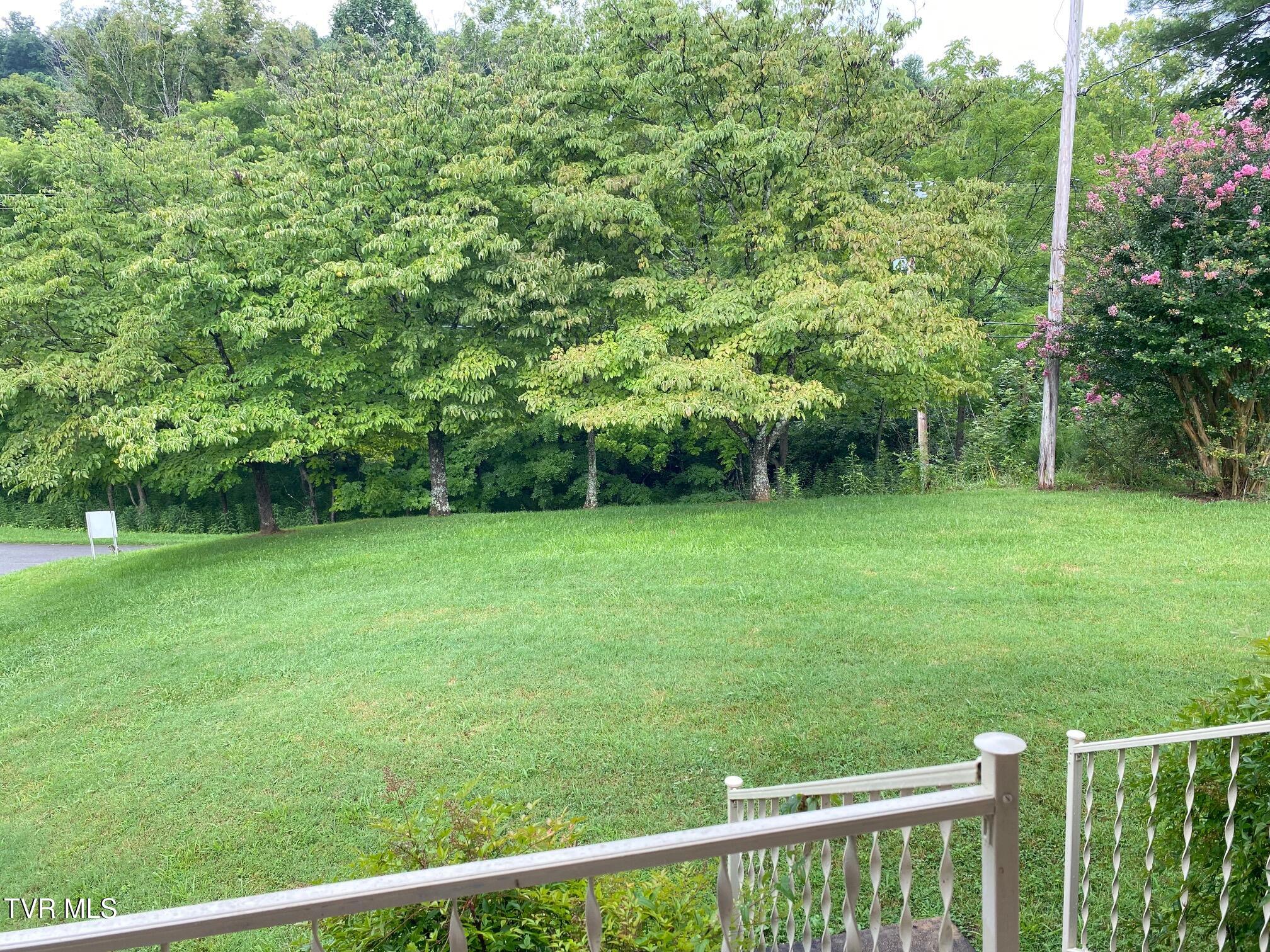 3204 Marbleton Road Unicoi, TN 37692 - Photo 5 of 114 View from front door