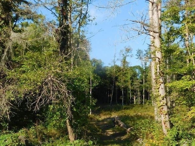 4922 Jackson Run Road Warren, PA 16365 - Photo 53 of 53 Gallery Image 53