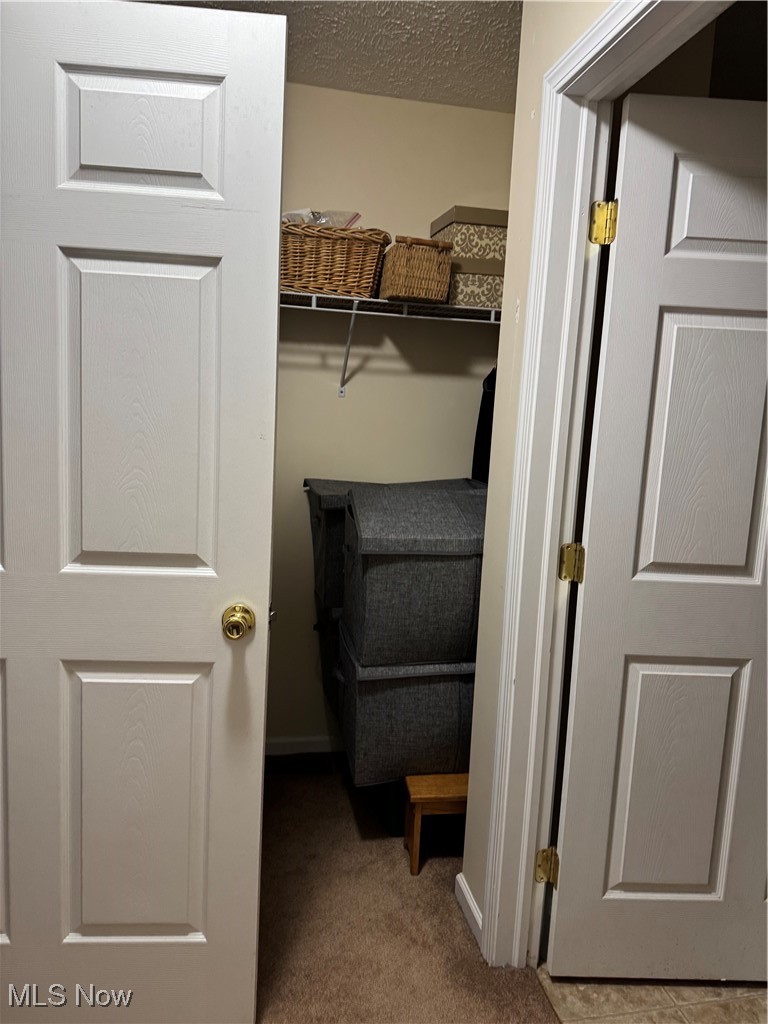 5930 Lake Road West Ashtabula, OH 44004 - Photo 17 of 27 Master walk in closet