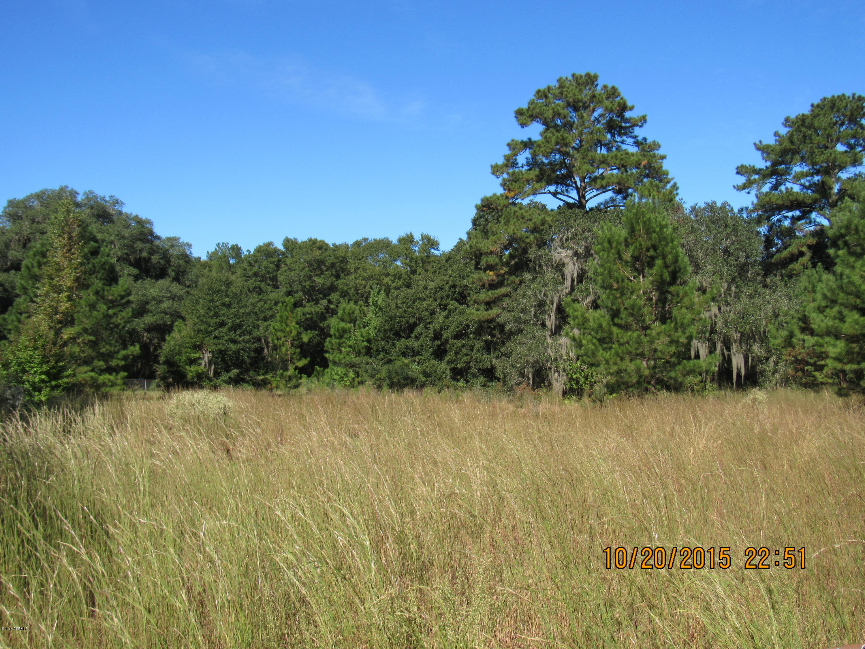 Tbd Bees Creek Road Ridgeland, SC 29936 - Photo 1 of 4 IMG_0869