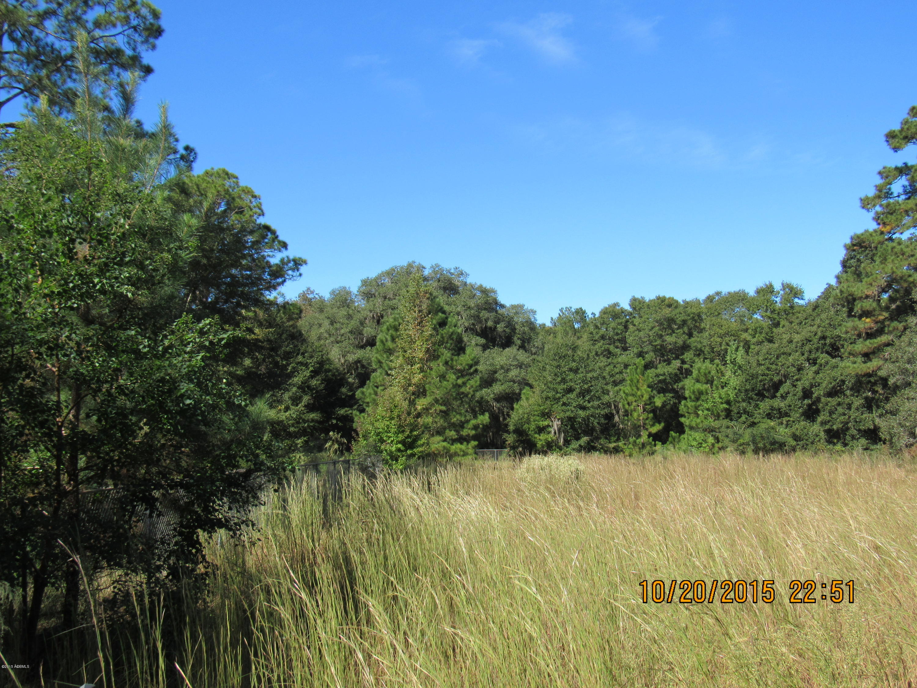Tbd Bees Creek Road Ridgeland, SC 29936 - Photo 3 of 4 IMG_0871