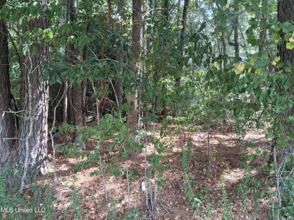 $12,000 | Cottonwood Drive Drive, Natchez, MS 39120