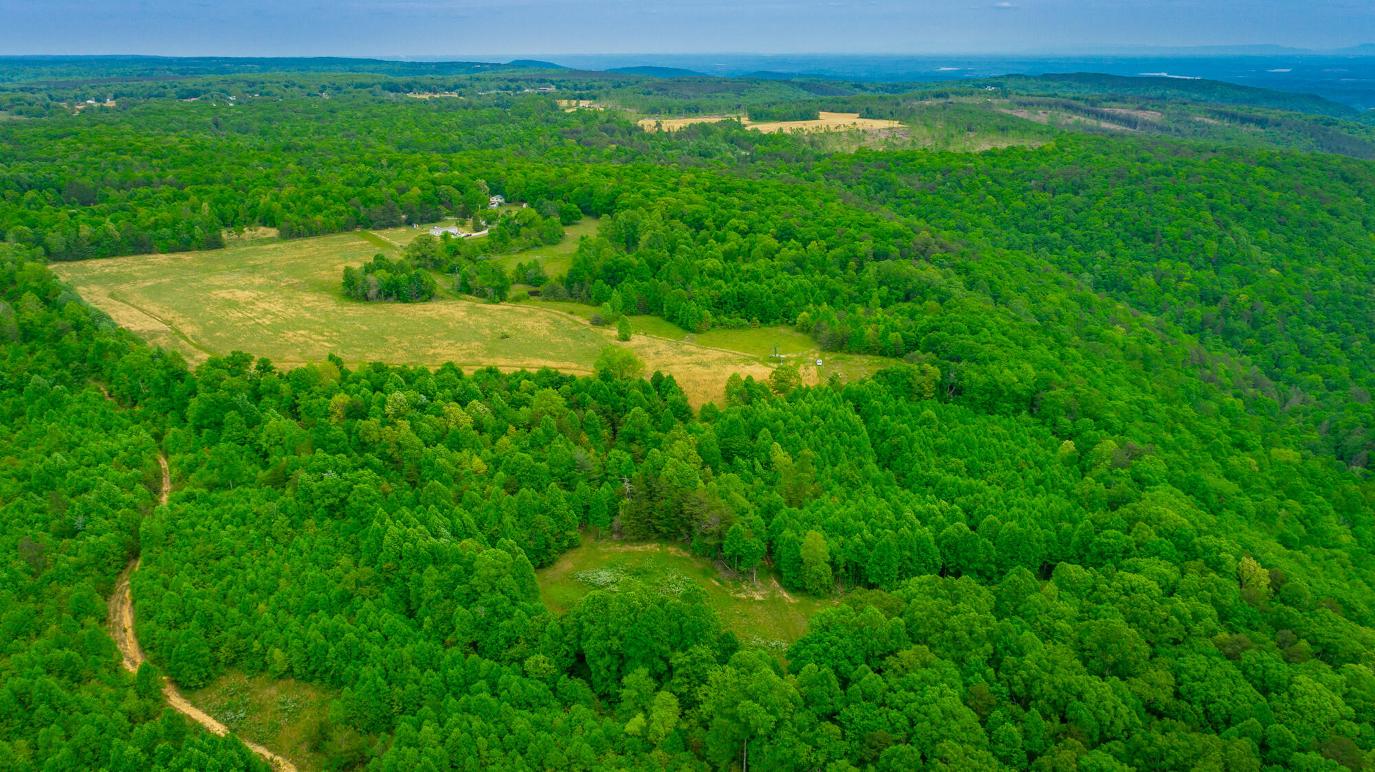 0 Ray Gadd Road Graysville, TN 37338 - Photo 16 of 109 Ray Gadd Road Lot HD-94