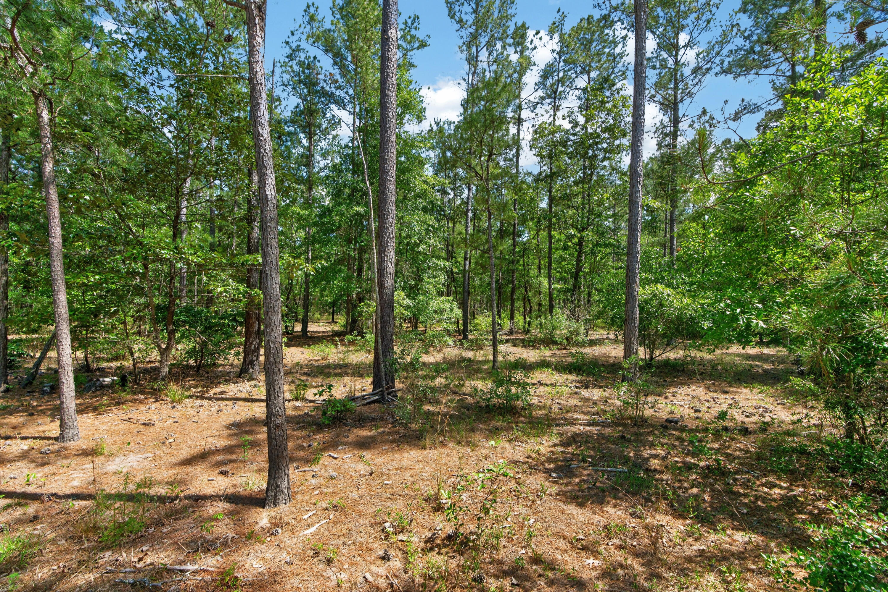 5120 North Brewington Road, Unit 10 Alcolu, SC 29001 - Photo 19 of 40 DSC09200