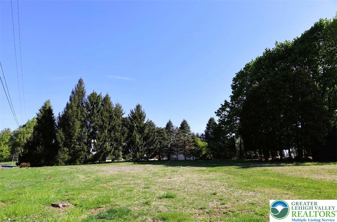 1601 Lieb Road Easton, PA 18040 - Photo 44 of 49 side yard