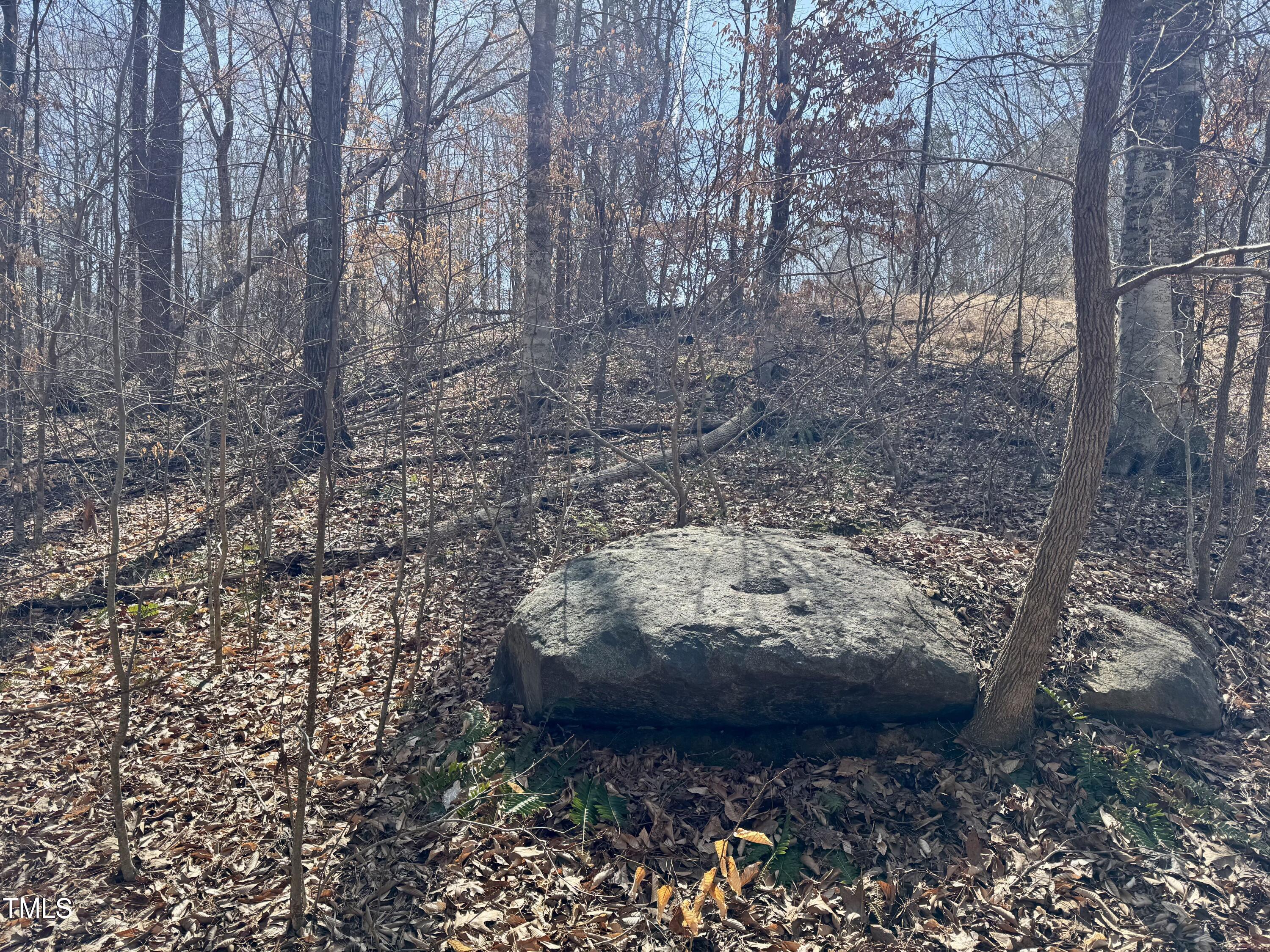 12420 Creedmoor Road Raleigh, NC 27614 - Photo 11 of 11 View up hill