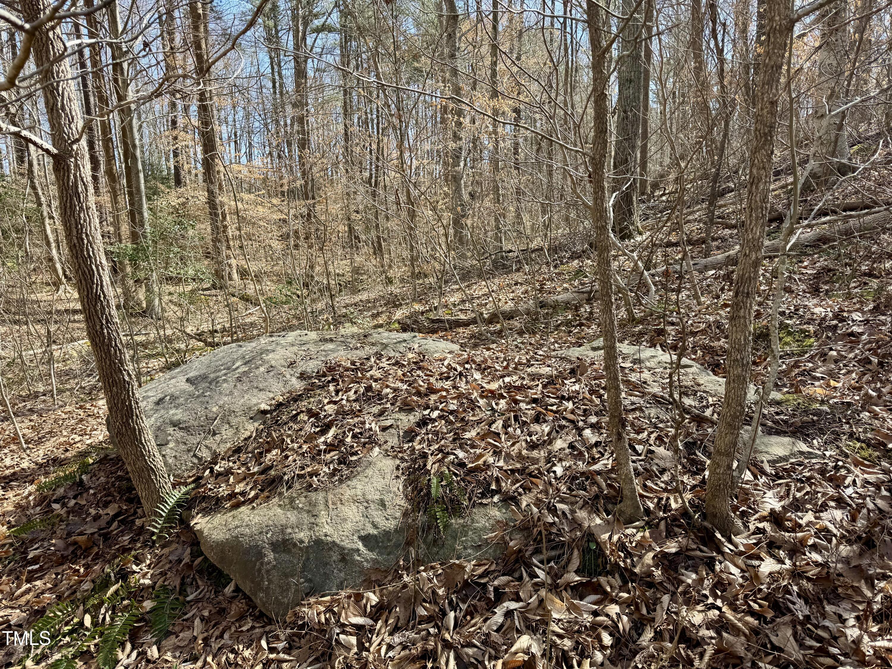 12420 Creedmoor Road Raleigh, NC 27614 - Photo 3 of 11 Boulder near creek