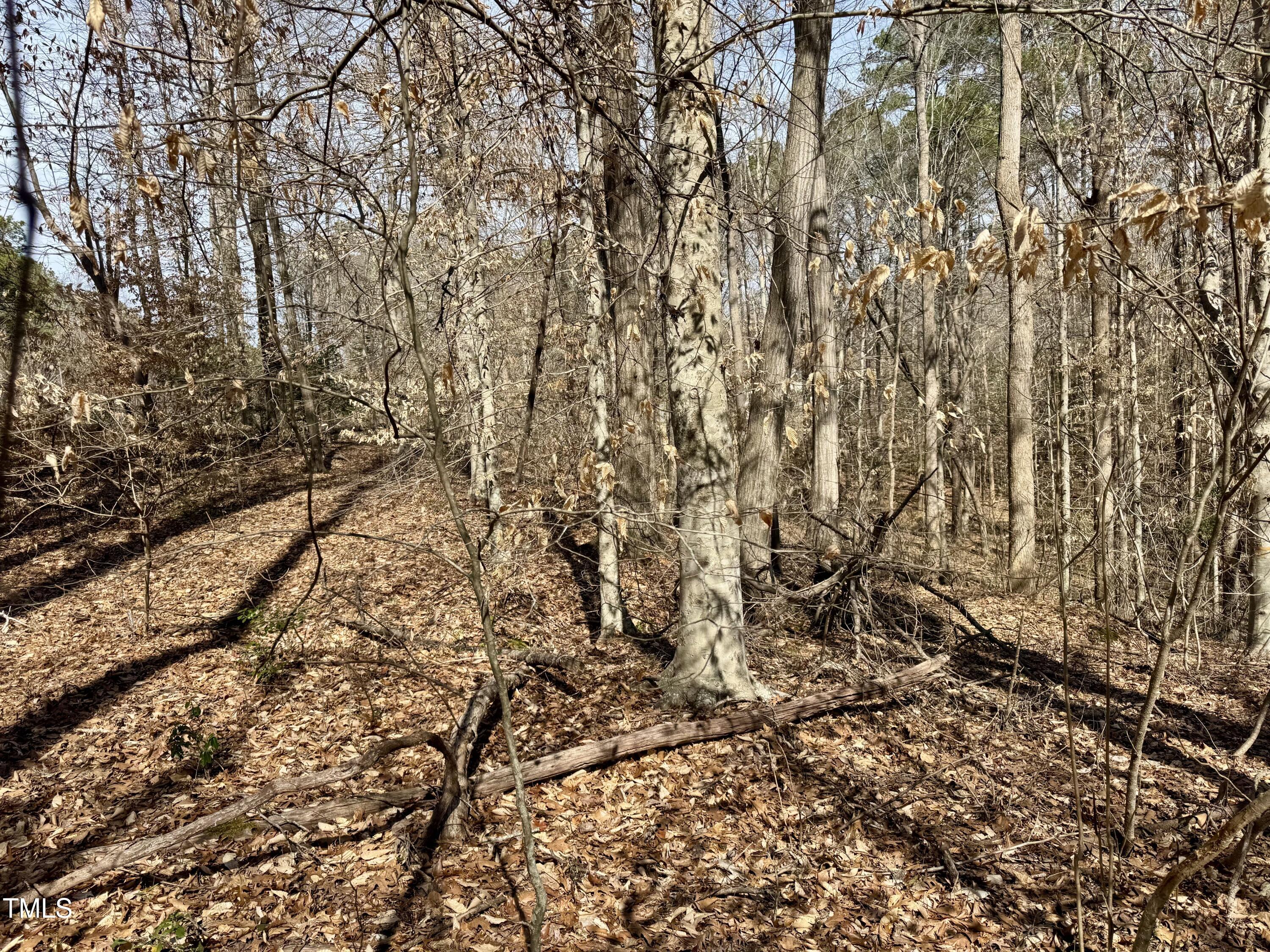 12420 Creedmoor Road Raleigh, NC 27614 - Photo 4 of 11 Level pad