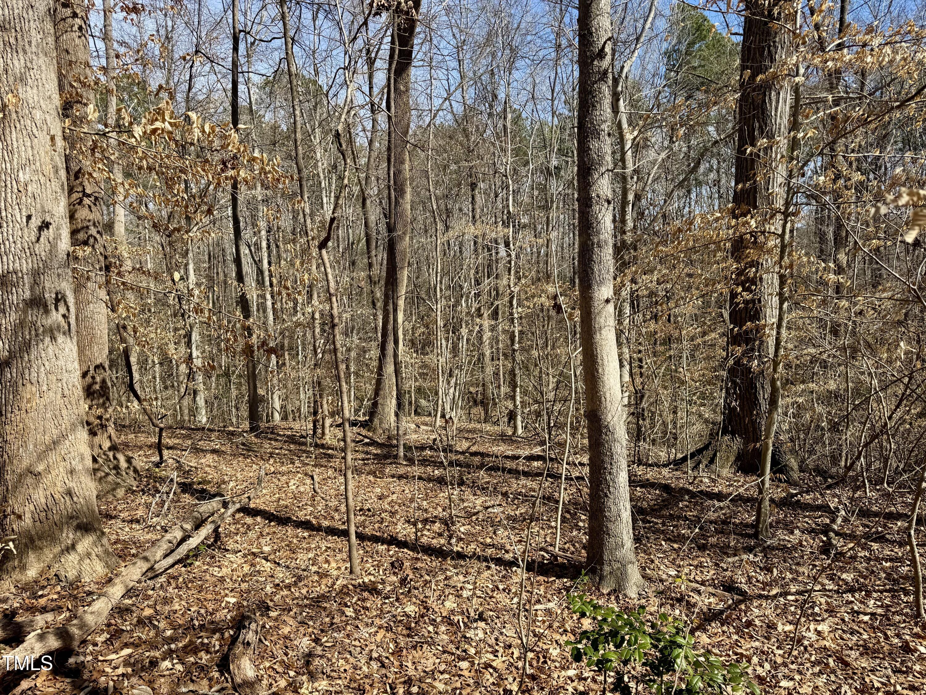 12420 Creedmoor Road Raleigh, NC 27614 - Photo 6 of 11 Wooded lot